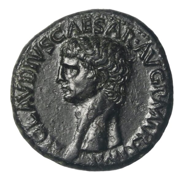Claudius dupondii
