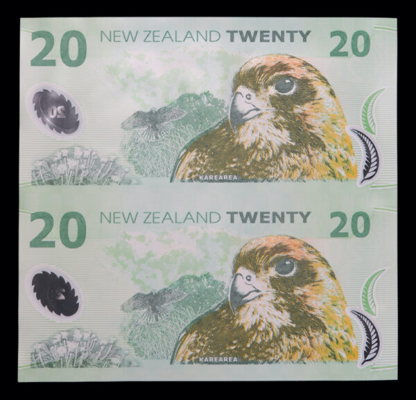 NZ uncut banknote pair 1999
