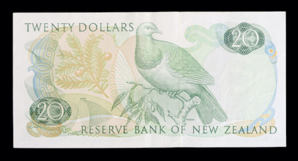 New zealand banknotes