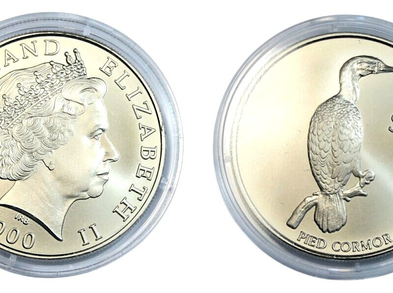 Cormorant coin 2000