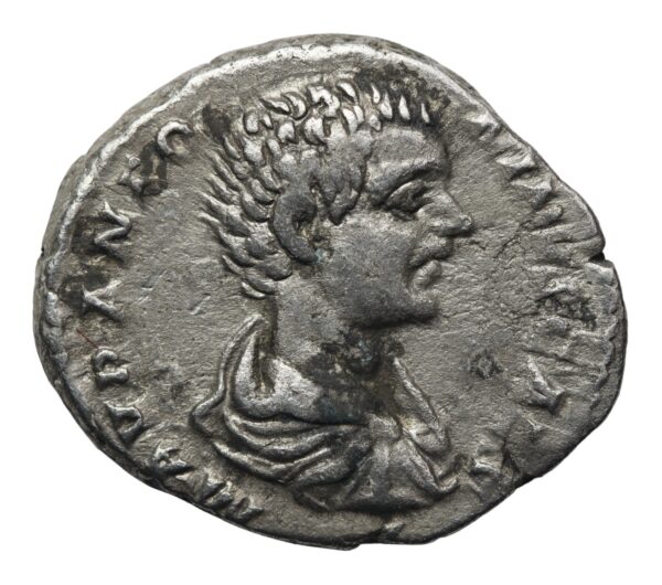 Caracalla denarius 196 ad
