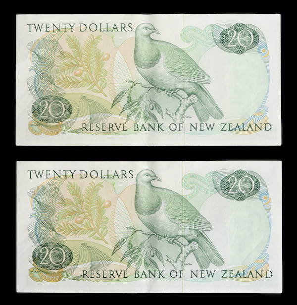 Zealand banknote pair