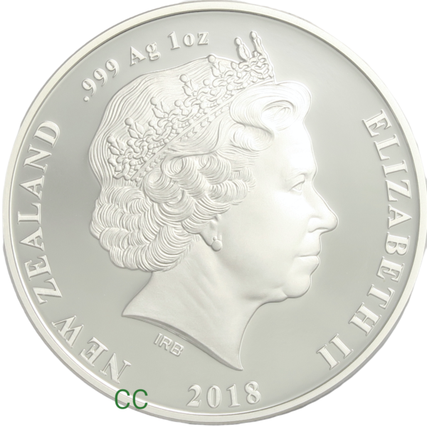 Gianrt moa silver coins