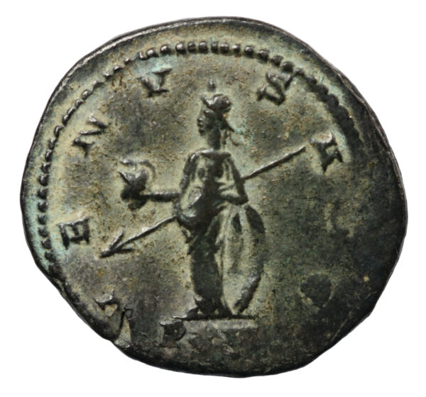 Salonina antoninianus