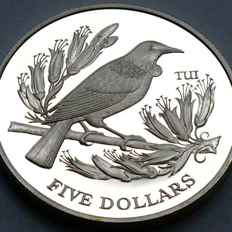 Tui Bird Coin