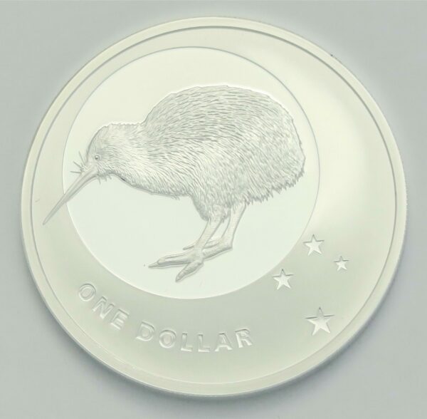 Kiwi Icon 2010