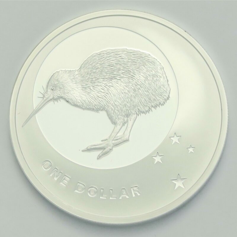 Kiwi Icon 2010