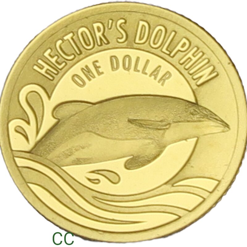 Hector's Dolphin