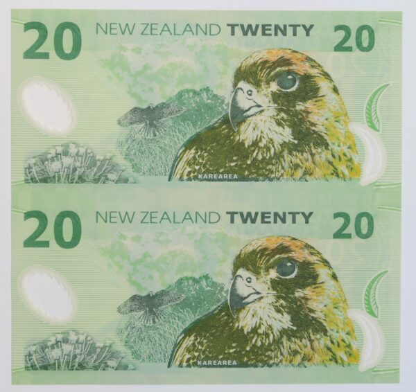 $20, Ist Polymer 1999 pair
