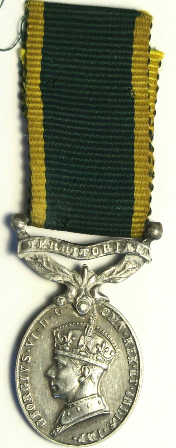 Territorial Efficiency Miniature Medal