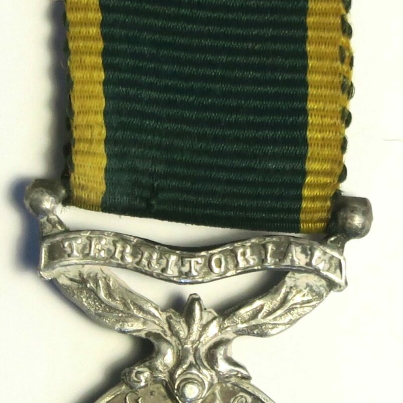 Territorial Efficiency Miniature Medal