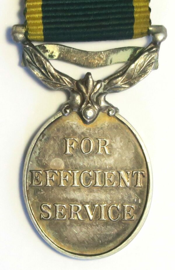 Territorial Efficiency Miniature Medal