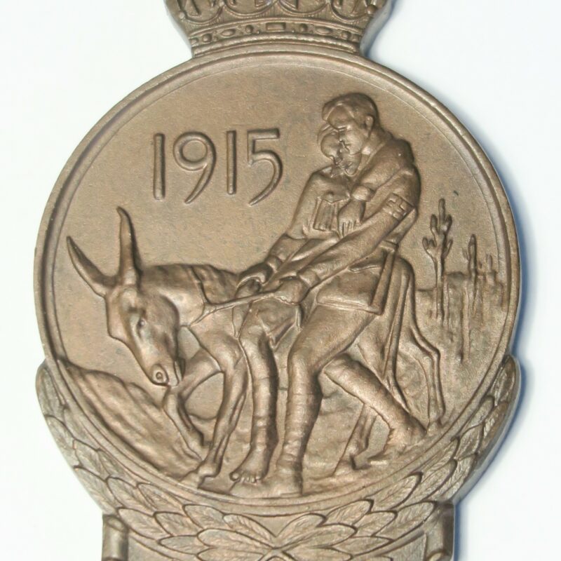 ANZAC Commemorative Medal.