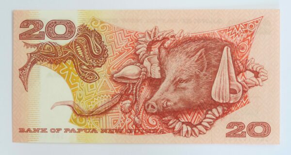 Papua New Guinea 20 kina