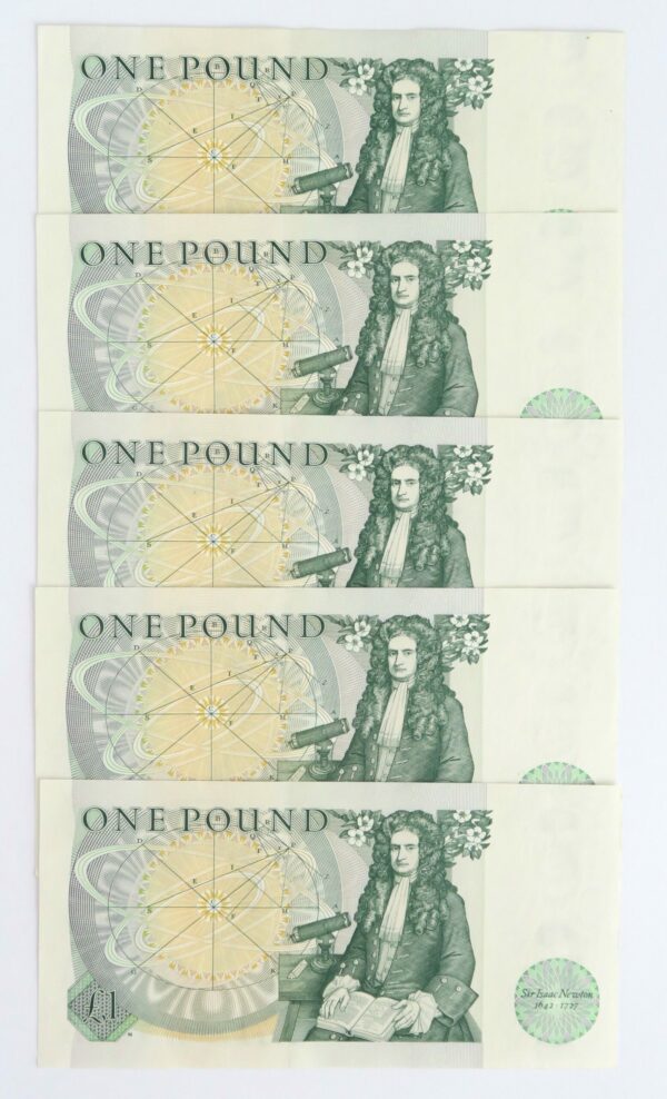 5 Consecutive Pounds 1981-4