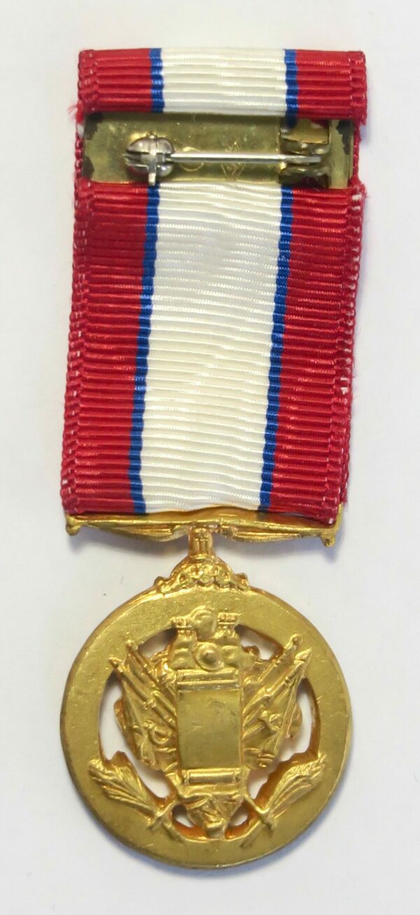 US Distinguished Service miniature