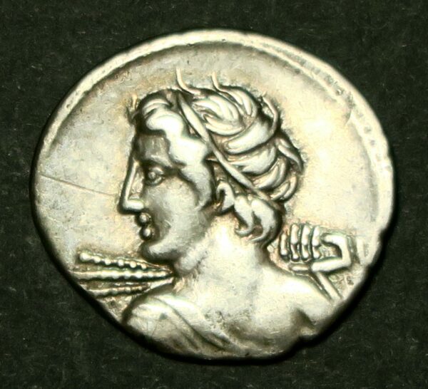 C.Licinius Denarius 84B.C.