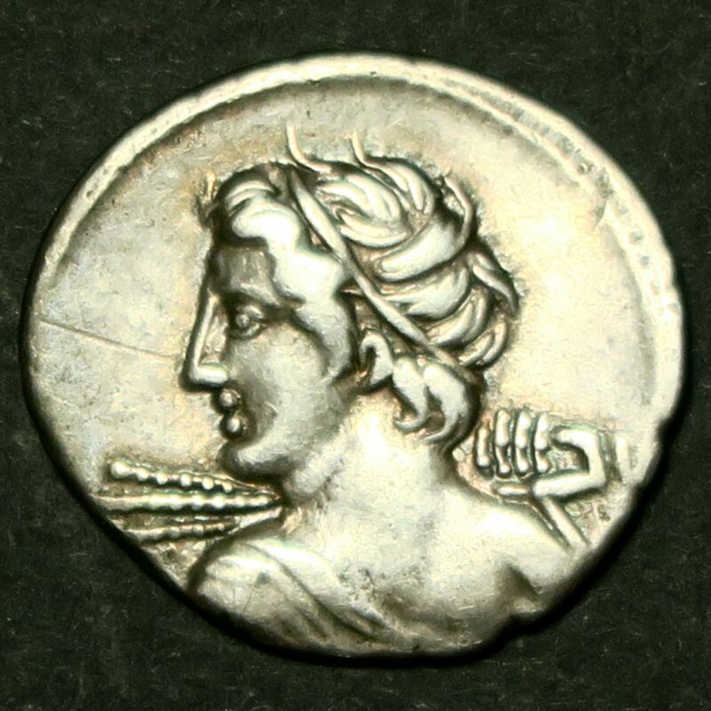 C.Licinius Denarius 84B.C.