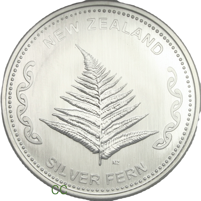 Silver fern round