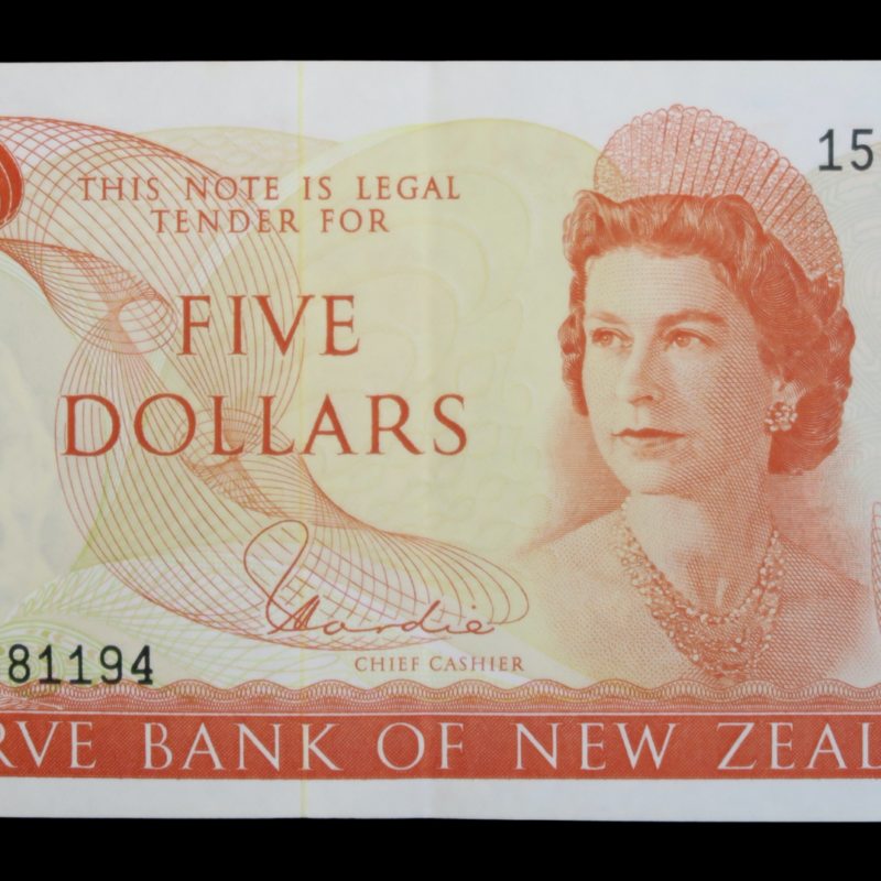 Zealand tui bird 5 dollars