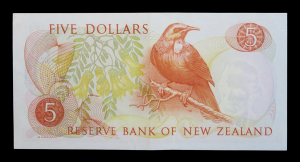 Banknotes with birds