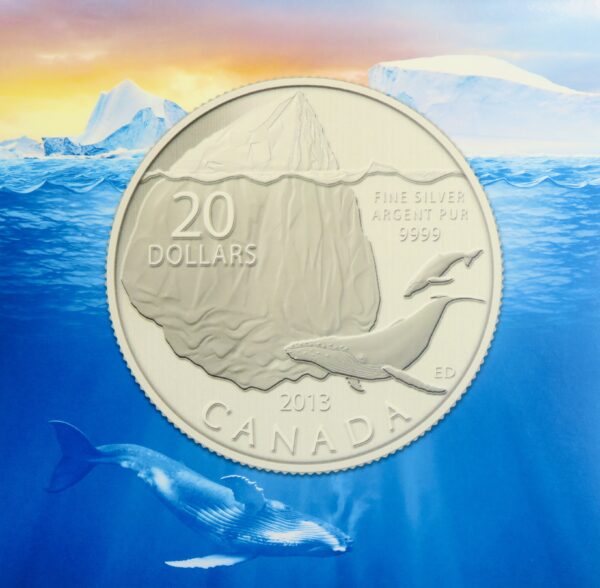 Wale and iceberg coin 2013