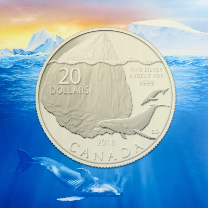 Wale and iceberg coin 2013
