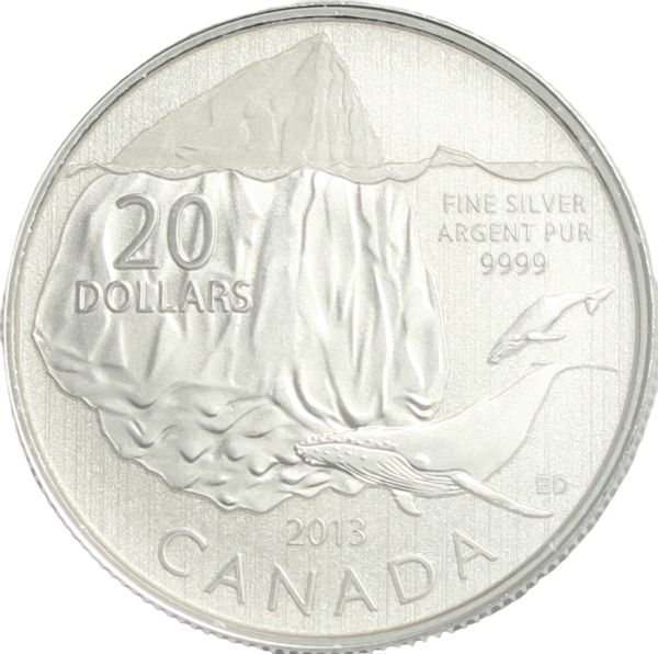 Twenty dollars 2013 canada