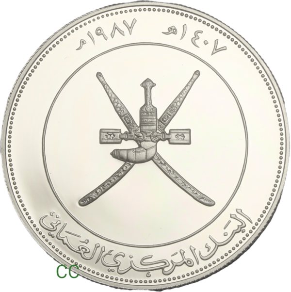 Sultanate coins