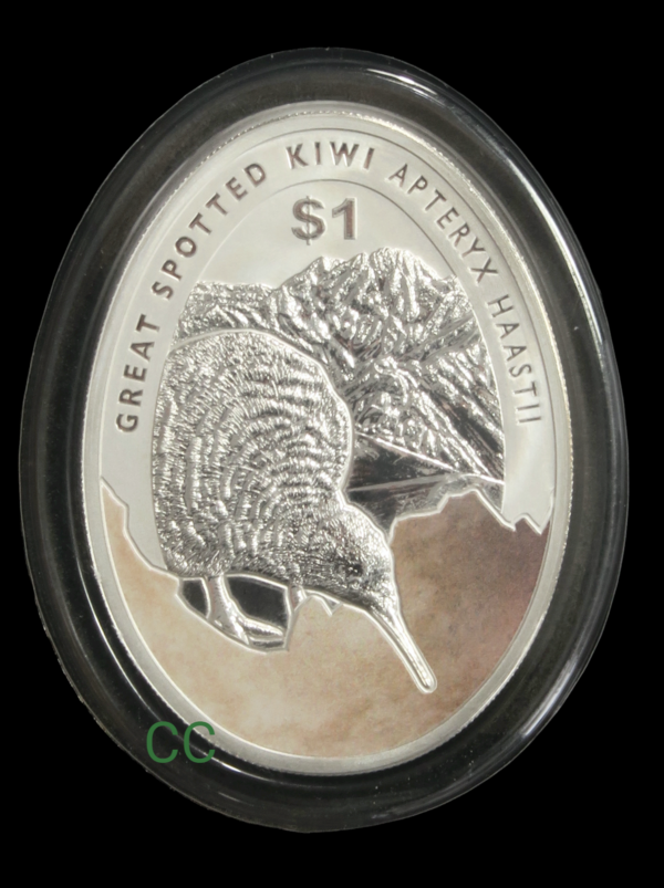 Oval coin kiwi 2016
