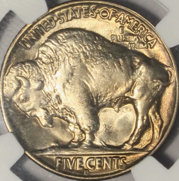 Toned buffalo nickels
