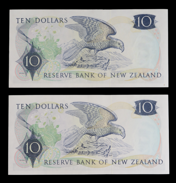 Kea bird ten dollar banknotes