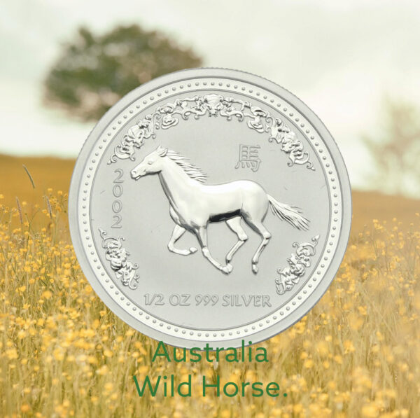 Australian wild brumby