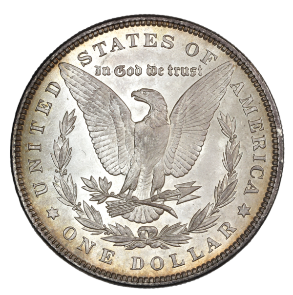 Brilliant detailed dollar 1885