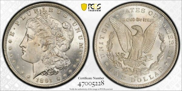 Morgan dollar 1891cc