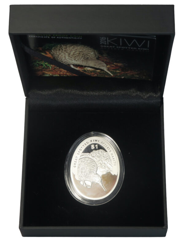 New zealands kiwi egg coin