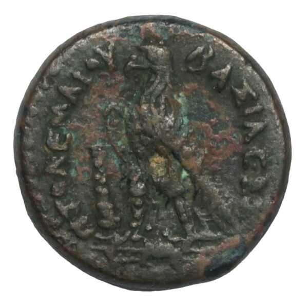 Ptolemy euergetes bronze coin