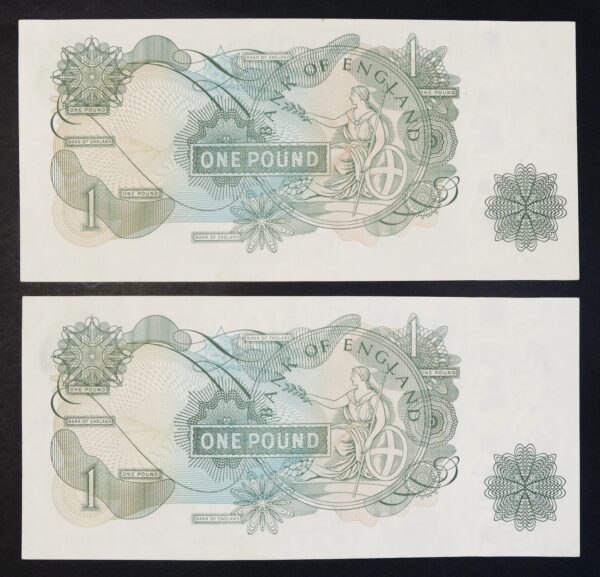 The bank of england pound run of two notes