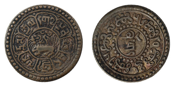 Tibet snow leopard coins