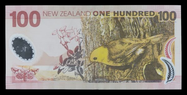 Reserve bank of new zealand paper one hundred dollar notes 1999