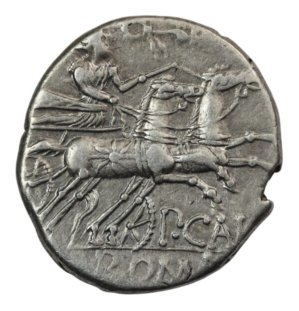Denarius biga roma and venias p calpurnius