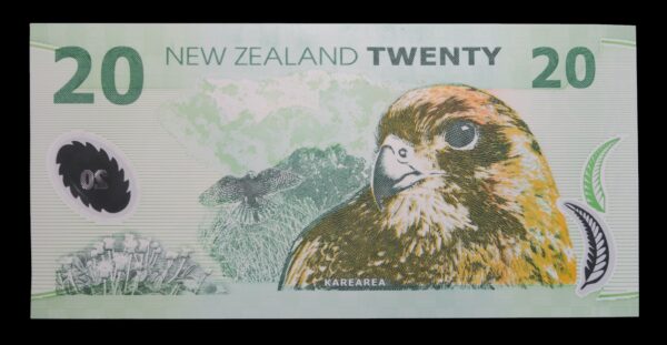 Rwenty dollars karearea bired new zealand 20 dollar note