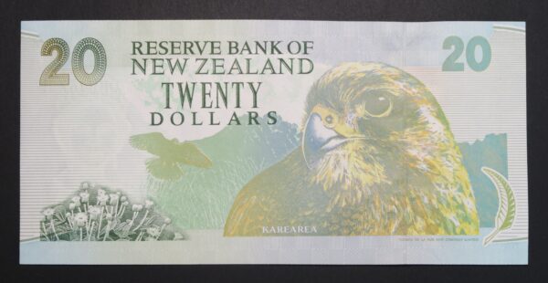 Donald brash twenty dollar note green back