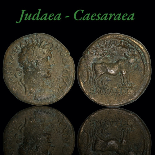 Hadrian roman provincial coins from judaea