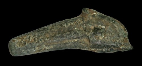 Ancient greek dolphin currency