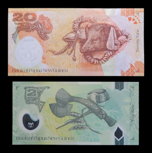 Bank of new guinea 20 and 2 kina banknotes