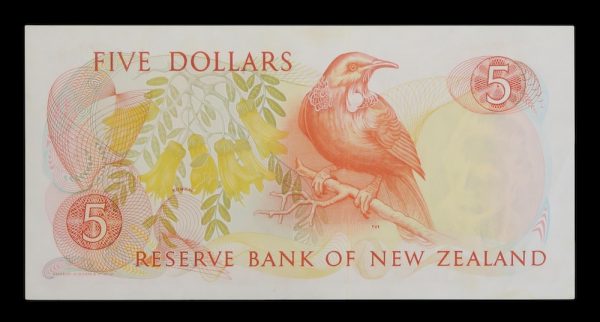 Five dollars nz paper banknotes