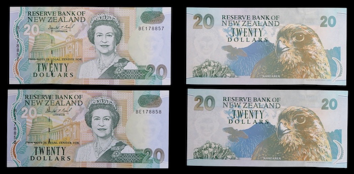Queen elizabeth portrait banknote pair